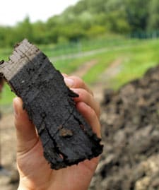Terra Preta Soil
