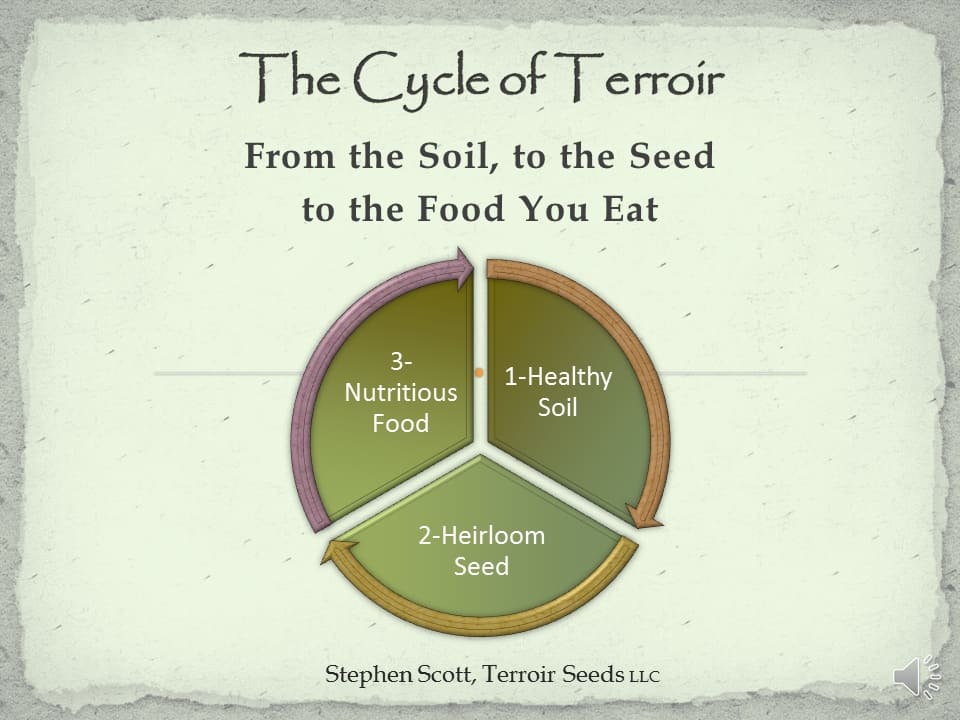 The Cycle of Terroir