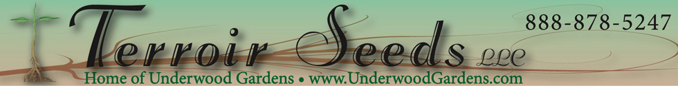 Terroir Seeds | Underwood Gardens