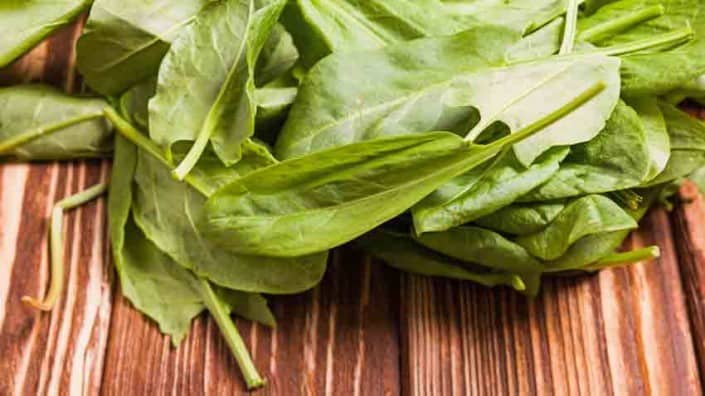Sorrel Leaves Sorrel Leaves