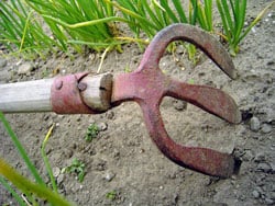 Old School Gardening Therapy