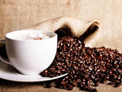 Fresh Coffee Grounds
