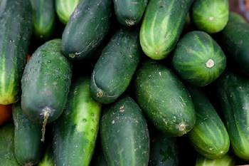 Fresh Cucumbers Fresh Cucumbers