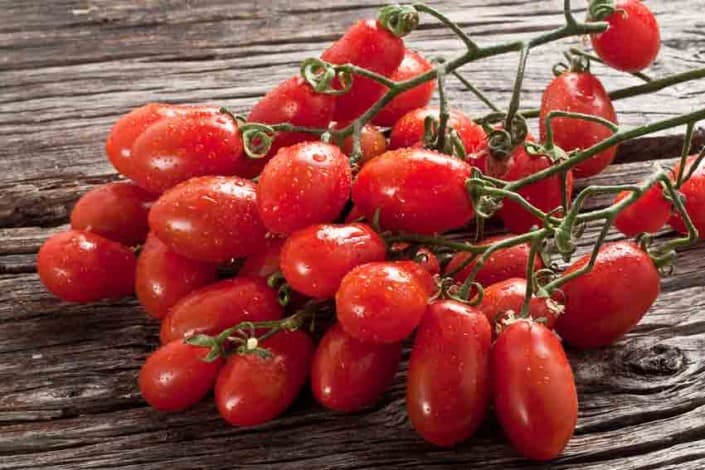 San Marzano Tomato San Marzano Tomato