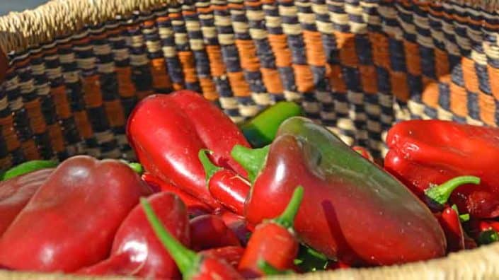 Basket of Peppers Basket of Peppers