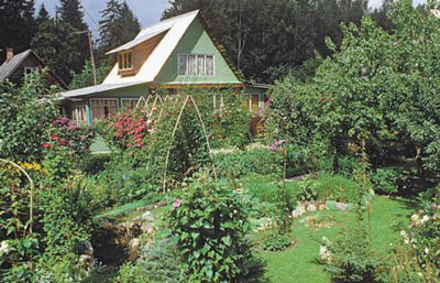 Dacha Garden Dacha Garden