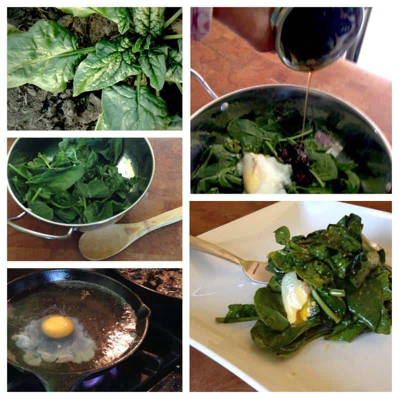 Spinach Spinach