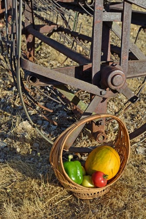 Farm Woman Melon Basket Farm Woman Melon Basket