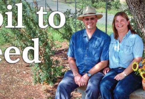 Acres Article Soil to Seed
