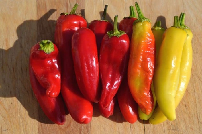 Hungarian Hot Wax Pepper2