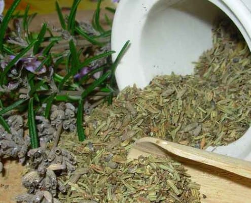 Indoor Herbs