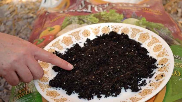 Square Foot Potting Soil Closeup Square Foot Potting Soil Closeup