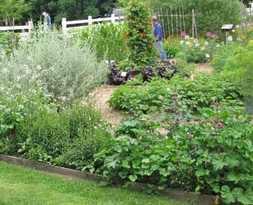 Seed Savers Exchange Garden