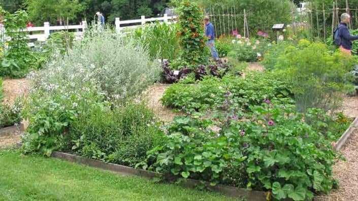 Seed Savers Exchange Garden Seed Savers Exchange Garden
