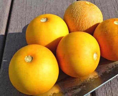 Ripe Vine Peaches