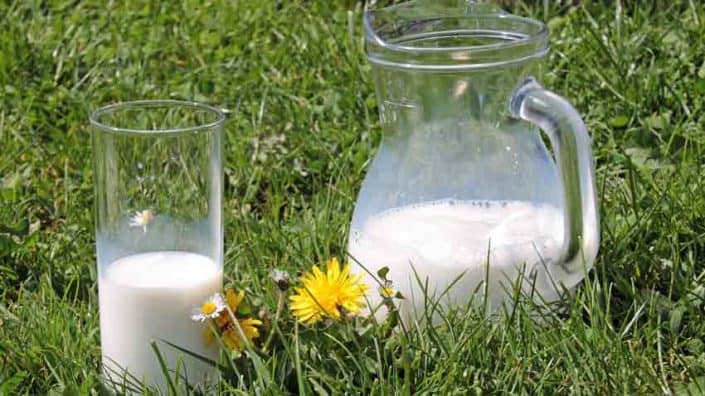 Pitcher of Milk Pitcher of Milk