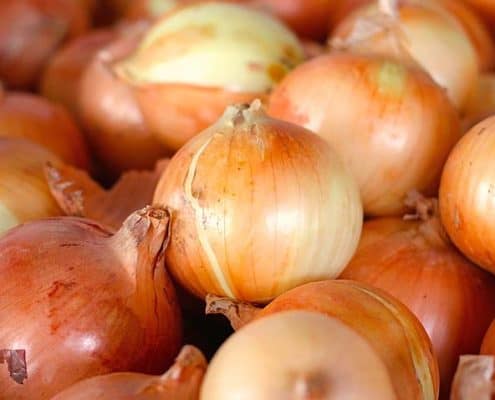 Candy Sweet Spring Onions