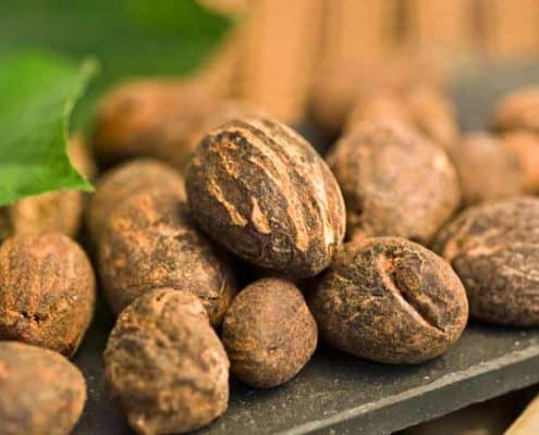 Shea Nuts