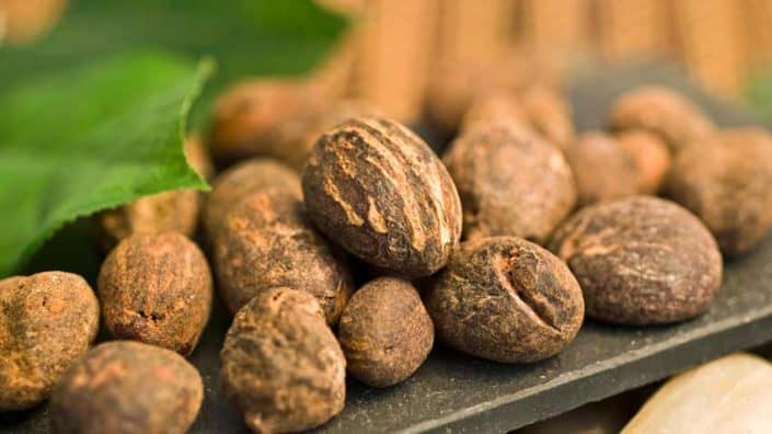 Shea Nuts Shea Nuts