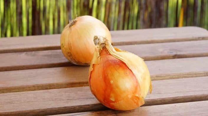 Ebenezer Spring Onions