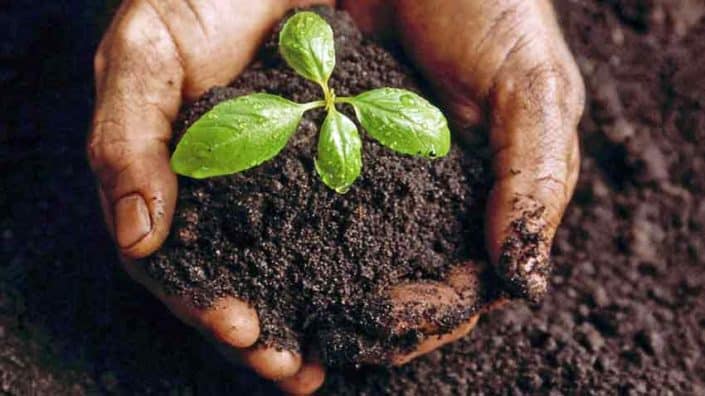 Handful of soil Handful of soil