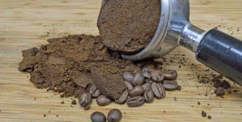 Coffee grounds