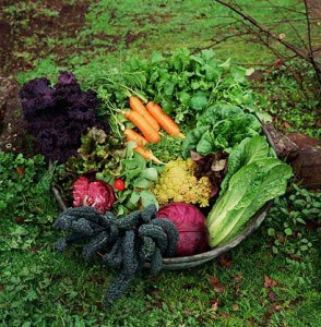 Heirloom Vegetable Basket
