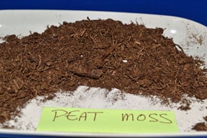 Peat Moss Peat Moss