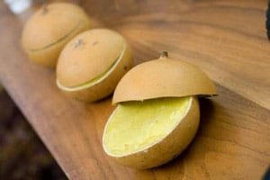 100% PureShea Butter packed in gourds for shipping 100% PureShea Butter packed in gourds for shipping
