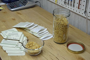 Hand Packing Melrose Pepper Seed Hand Packing Melrose Pepper Seed
