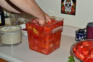 Packing Fresh Tomatoes