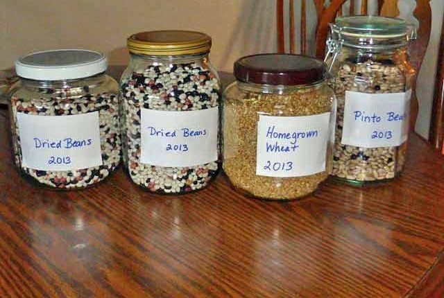 Finished White Sonora Wheat