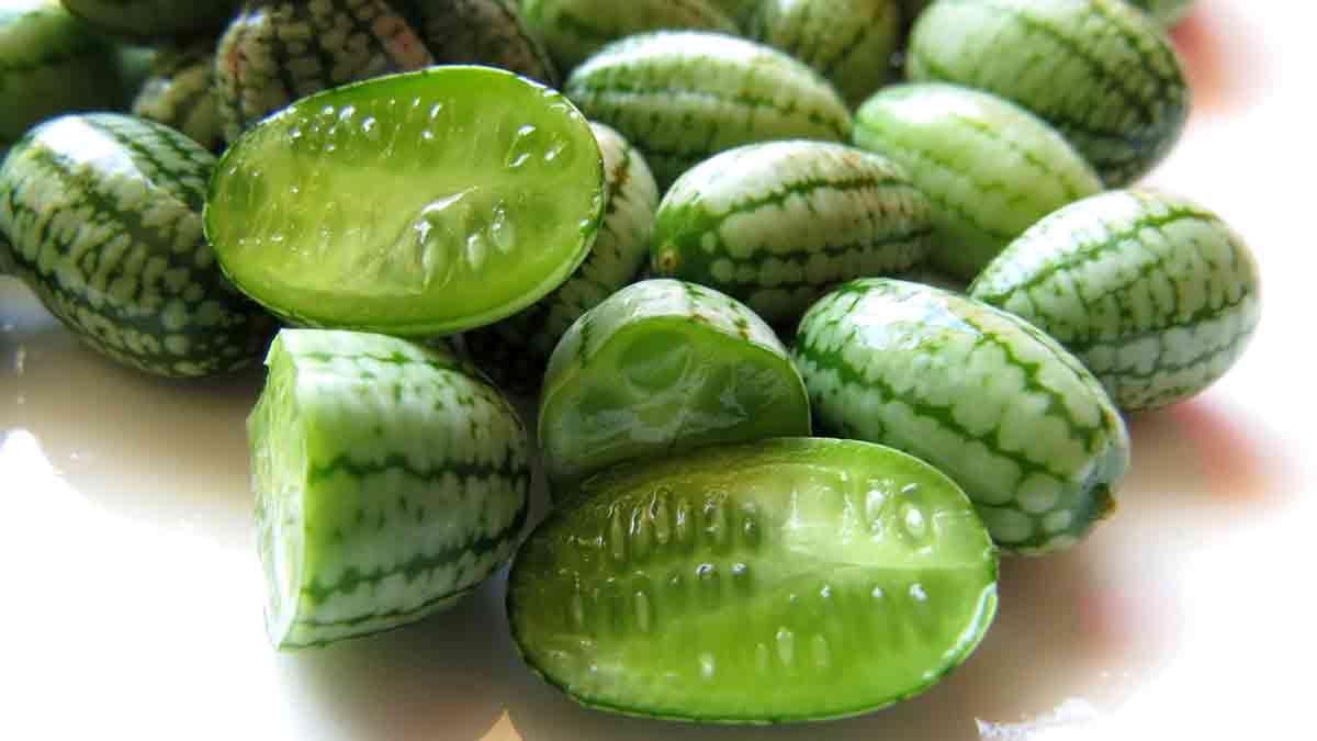 Image result for cucamelon