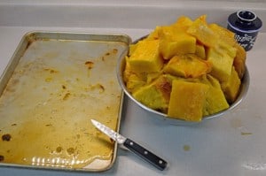 Chunks Ready to Puree