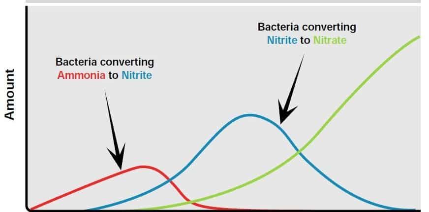 Aquaponic Ammonia Cycling Levels