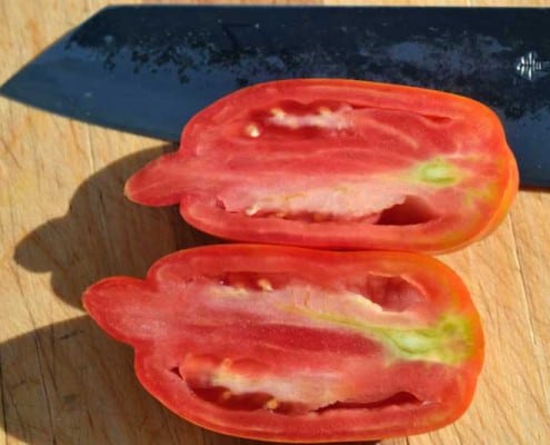 Speckled Roman Tomato Sliced Open