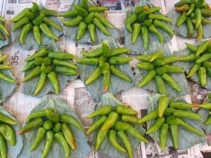 Chile de Agua For Sale
