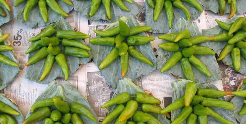 Chile de Agua For Sale