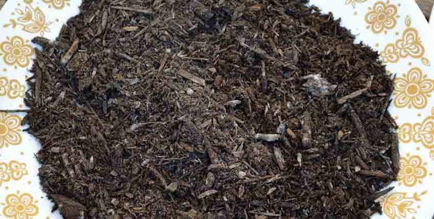 Kellog's Potting Soil Closup