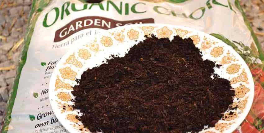 Organic Choice Potting Soil Closeup
