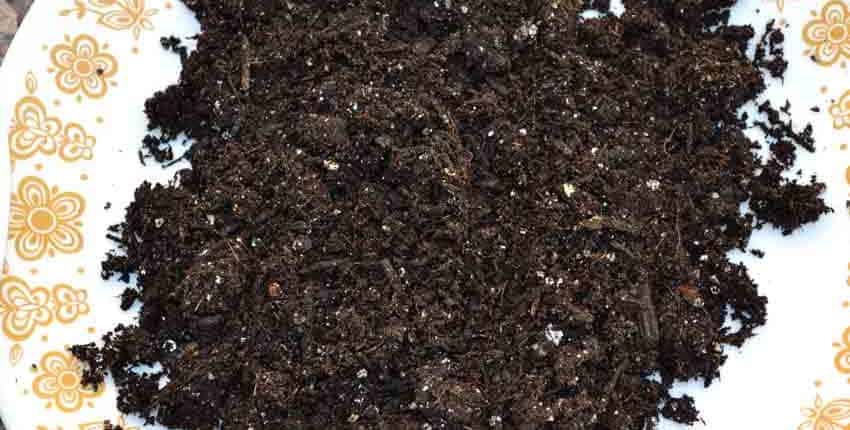 Square Foot Potting Soil