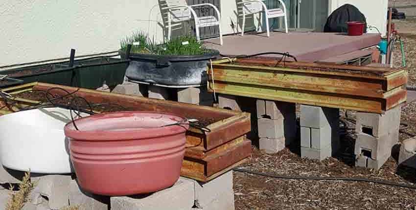 Growing Beds in Back Deck Garden