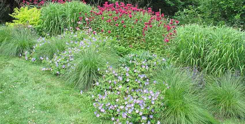 Flower & Grass Beds