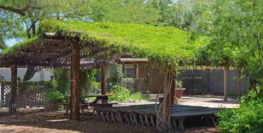 Living Shade Roof