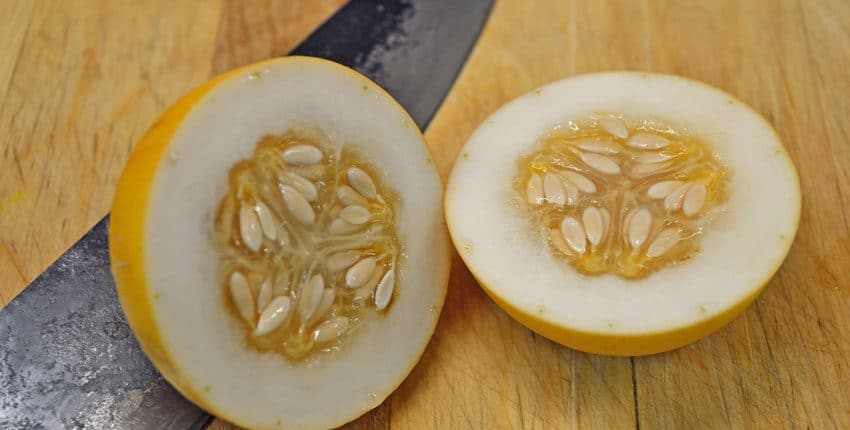 Vine Peach Slice