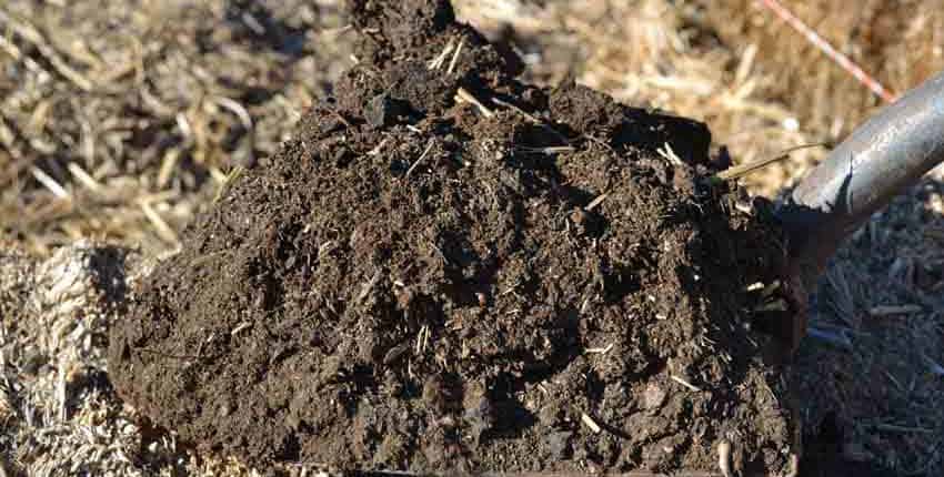 Well Aged Compost