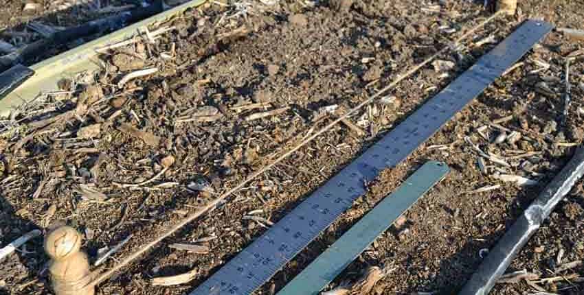 Row Marking Tools for Direct Sowing