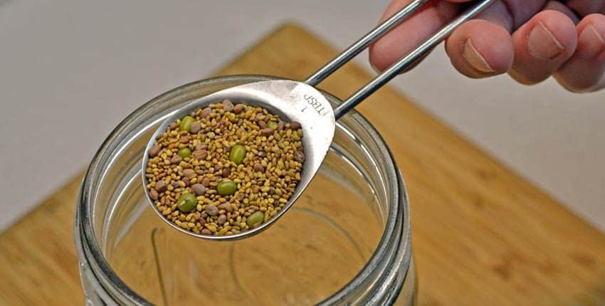 Measuring Seeds for Sprouts