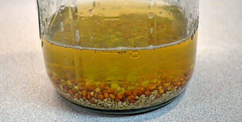Sprouts After Overnight Soaking 