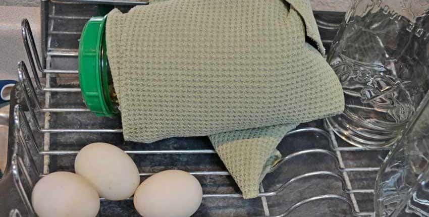 Sprouts Rinsed and Wrapped